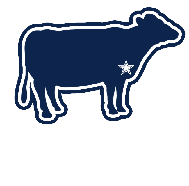 Dallas Cowboys Beef Brisket Logo fabric transfer
